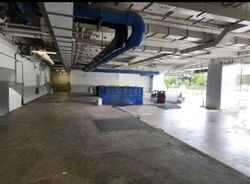 Kallang Way (D13), Factory #561504451